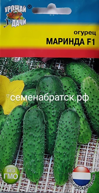 Огурец Маринда F1 (Урожай У дачи) РТ-00004372 - фото 337086