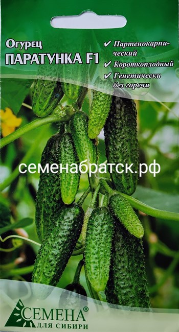 Огурец Паратунка F1 (СдС Красноярск) ЯН-00000450 - фото 337088