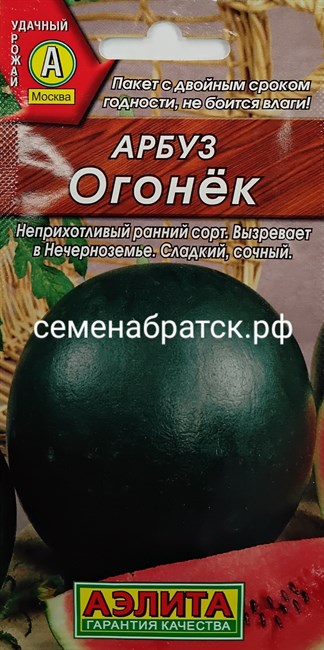 Арбуз Огонек л/п (Аэлита) РТ-00004254 - фото 345395