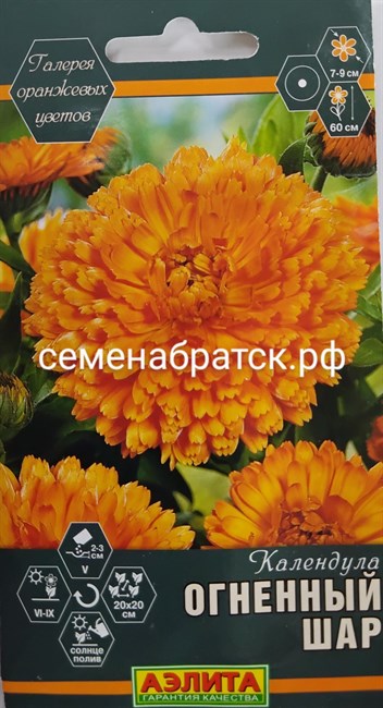 Цветы Календула Огненный шар (Аэлита) К1-00001348 - фото 356552