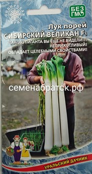 Лук порей Сибирский великан F1 (Уральский дачник) РТ-00004923 - фото 367552