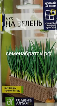 Лук На зелень (Семена Алтая) РТ-00004238 - фото 367554