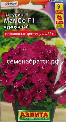 Цветы Петуния Мамбо Пурпурная F1 многоцв (Аэлита) К1-00000196 - фото 374150