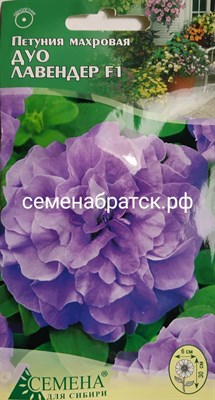 Цветы Петуния ДУО Лавендер F1 махровая (СдС Красноярск) СЦ-00000144 - фото 374152