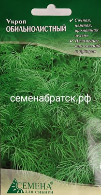 Укроп Обильнолистный (СдС Красноярск) РТ-00002900 - фото 378269