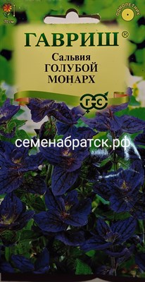 Цветы Сальвия Голубой монарх (Гавриш) Я1-00000563 - фото 384304