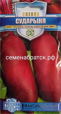 Свекла Сударыня (Гавриш) СЦ-00000380 - фото 499297