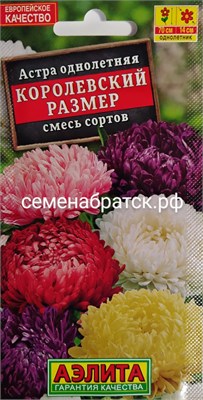 Цветы Астра Королевский размер смесь пионовидная (Аэлита) РТ-00001967 - фото 499382