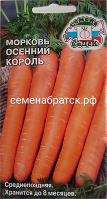 Морковь Осенний король (Седек) РТ-00000075 - фото 499957