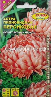 Цветы Астра Персиковая пионовид (Евро экстра) К1-00000198 - фото 500547