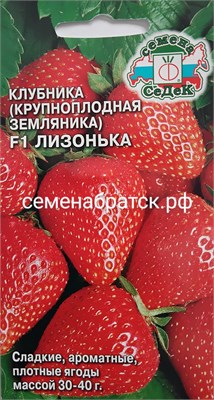 Земляника Лизонька F1 (Седек) РТ-00005715 - фото 500693