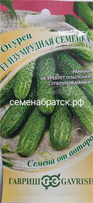 Огурец Изумрудная семейка F1 (Гавриш) РТ-00000272 - фото 500762