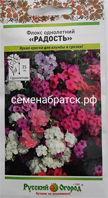 Цветы Флокс Радость (НК) ЯН-00000664 - фото 501052