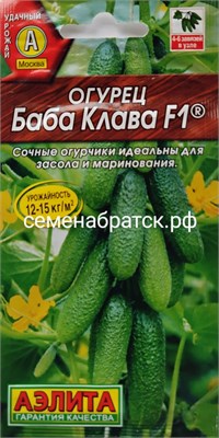 Огурец Баба Клава F1 (Аэлита) РТ-00005745 - фото 501077