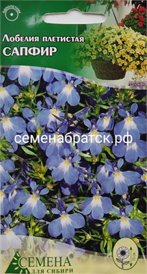 Цветы Лобелия Сапфир (СдС Красноярск) РТ-00005740 - фото 501106