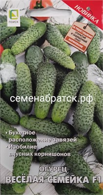 Огурец Веселая семейка F1 (Поиск) РТ-00005751 - фото 501199