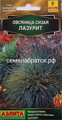 Цветы Овсянница сизая Лазурит (Аэлита) РТ-00005753 - фото 501201
