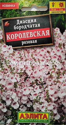 Цветы Диасция Королевская розовая (Аэлита) РТ-00005791 - фото 501281