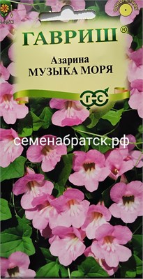 Цветы Азарина Музыка моря (Гавриш) РТ-00005794 - фото 501283