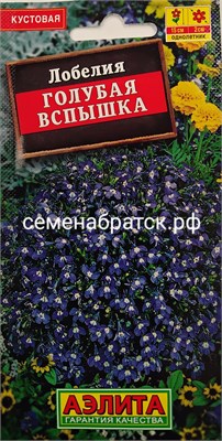 Цветы Лобелия Голубая вспышка (Аэлита) РТ-00005750 - фото 501319