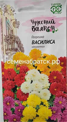 Цветы Георгина Василиса (Гавриш) РТ-00001976 - фото 501456