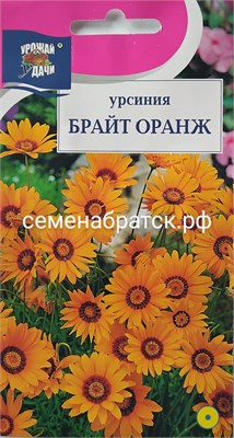 Цветы Урсиния Брайт оранж (Урожай У дачи) РТ-00005868 - фото 501472