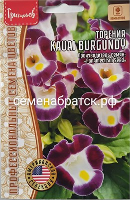 Цветы Торения Каваи Бургунди  (Редкие) РТ-00005856 - фото 501474