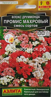 Цветы Флокс Промис махровый (Аэлита) РТ-00002206 - фото 501480
