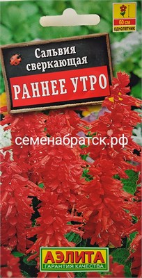 Цветы Сальвия сверкающая Раннее утро (Аэлита) РТ-00005867 - фото 501486