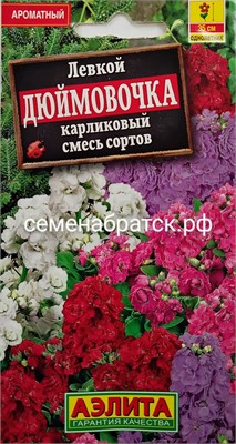 Цветы Левкой Дюймовочка карликовый смесь (Аэлита) СЦ-00000023 - фото 501490