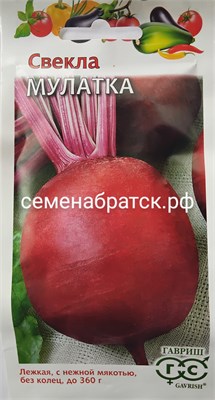 Свекла Мулатка (Гавриш) СЦ-00000578 - фото 501506