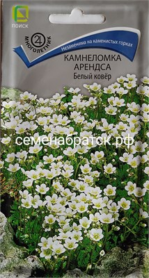 Цветы Камнеломка Белый ковер (Поиск) РТ-00005883 - фото 501511