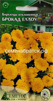Цветы Бархатцы Брокад Еллоу (СдС Красноярск) К1-00000642 - фото 501517