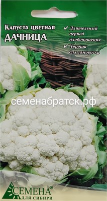 Капуста цветная Дачница (СдС Красноярск) РТ-00003229 - фото 501547