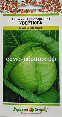 Капуста б/к Увертюра F1 (НК) СЦ-00000084 - фото 501549