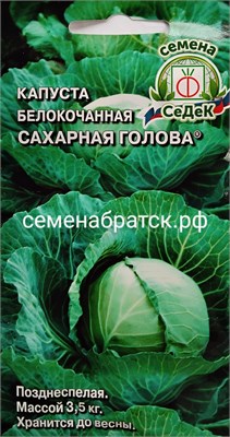 Капуста б/к Сахарная Голова (Седек) РТ-00001114 - фото 501551