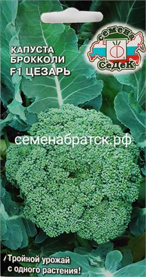 Капуста брокколи Цезарь (Седек) Я1-00000535 - фото 501553