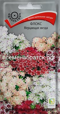 Цветы Флокс Мерцающая звезда смесь (Поиск) РТ-00005912 - фото 573347