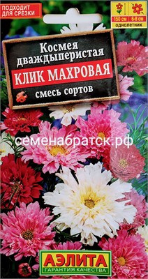 Цветы Космея Клик махровая (Аэлита) РТ-00004640 - фото 655848