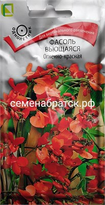 Цветы Фасоль вьющаяся Огненно-красная (Поиск) РТ-00002296 - фото 682869