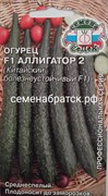Огурец Аллигатор F2 (Китайский болезнеустойчивый) (Седек) Я1-00000257
