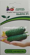 Огурец Бьерн F1 (Партнер) Я1-00000015