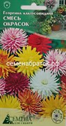 Цветы Георгина Кактусовидная смесь (СдС Красноярск) СЦ-00000143