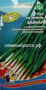 Лук на зелень Байкал (Уральский дачник) К1-00000051