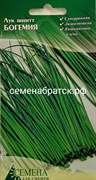 Лук Шнитт (СдС Красноярск) РТ-00001746