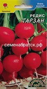 Редис Тарзан (Цветущий сад) РТ-00000371