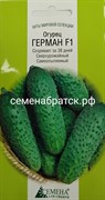 Огурец Герман (СдС Красноярск) РТ-00002556