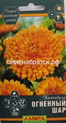 Цветы Календула Огненный шар (Аэлита) К1-00001348