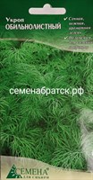 Укроп Обильнолистный (СдС Красноярск) РТ-00002900