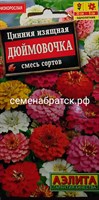 Цветы Цинния Дюймовочка (Аэлита) СЦ-00000498-1